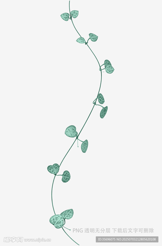 綠色藤蔓裝飾圖案