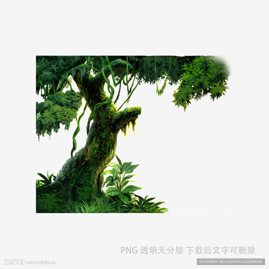 藤蔓