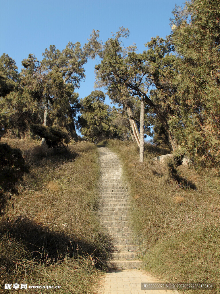 柏樹洛陽(yáng)漢光武帝