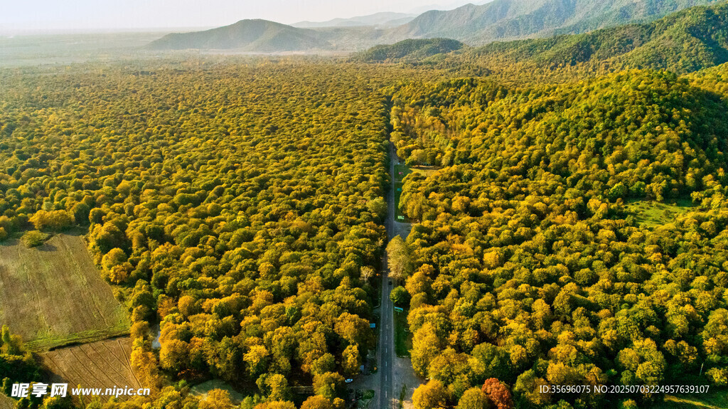 航拍秋日山林間蜿蜒道路