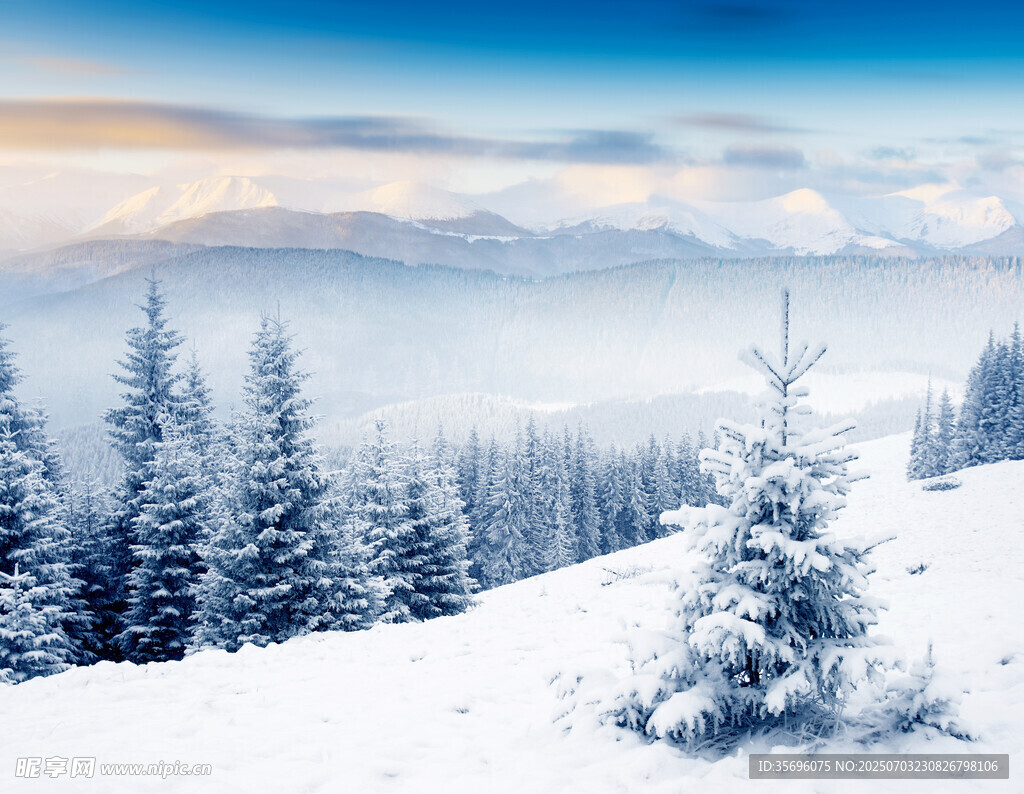 冬日雪林美景