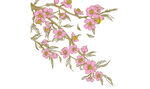 粉色桃花枝綻放