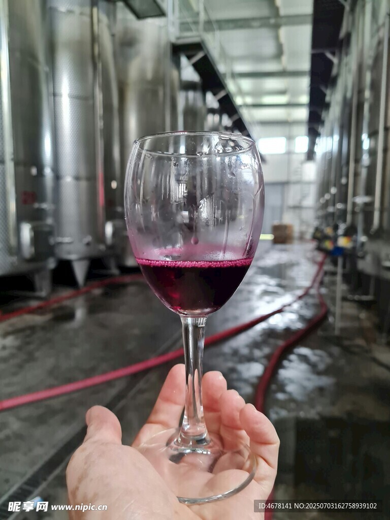 手持紅酒杯于釀酒廠內