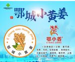 鄂城小黃姜