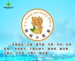 鄂城小黃姜