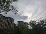 城市樓宇間的天空與綠樹