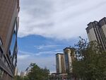 城市街道旁的高樓與綠樹