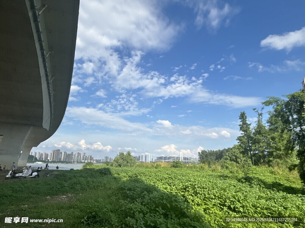 橋下綠意盎然的自然景致
