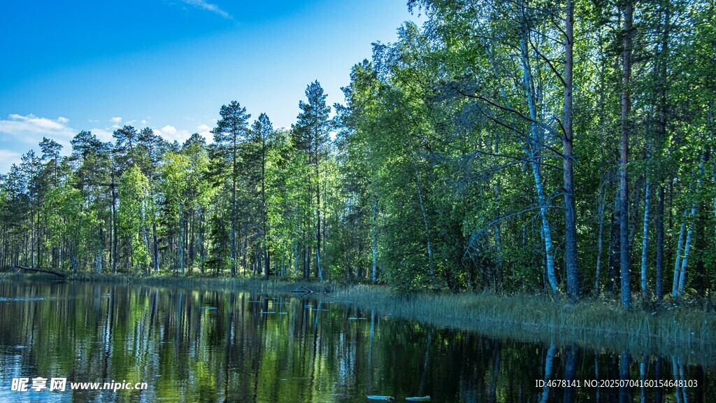 寧靜湖畔森林美景