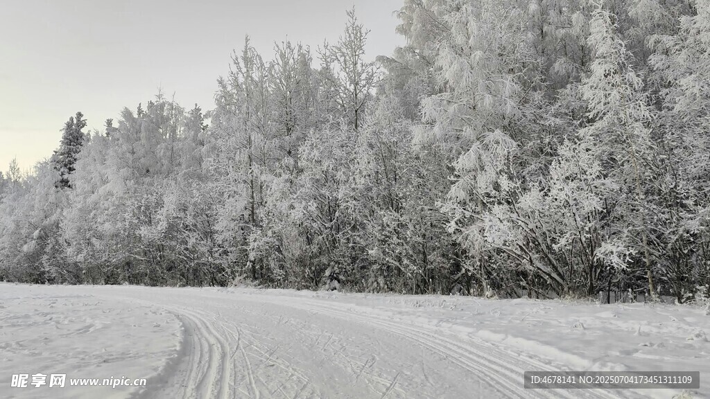 冬日雪林公路美景