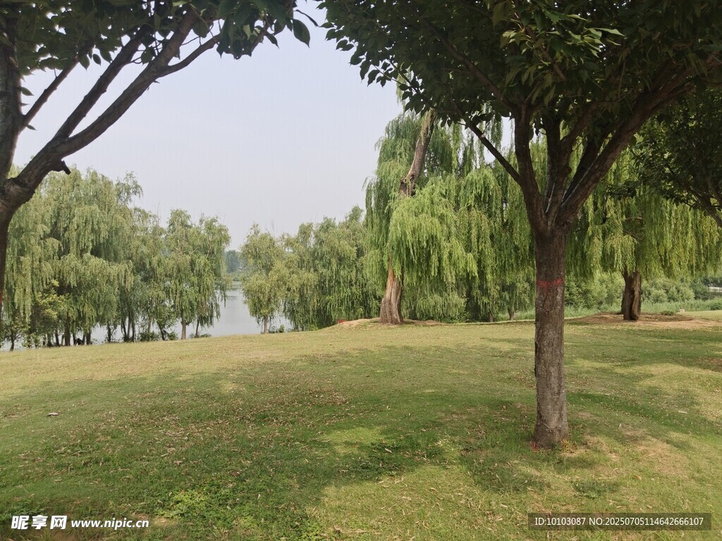 公園綠意盎然的休閑場景