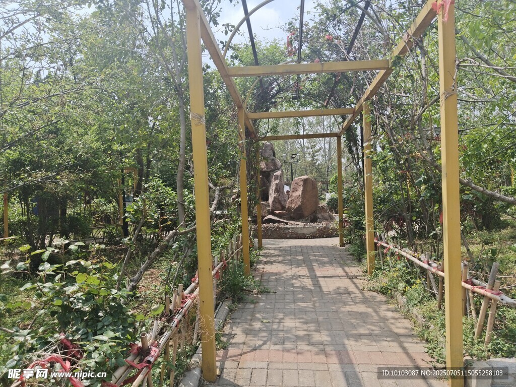 花園中的木質拱形小徑