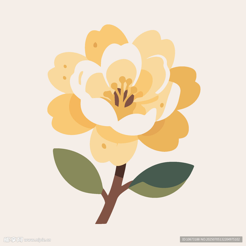 黃色山茶花插畫