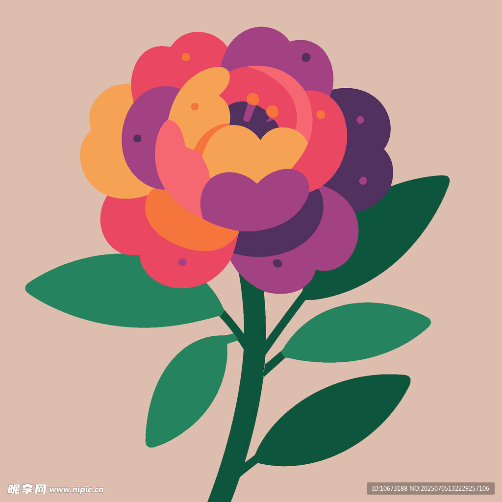多彩花卉插畫