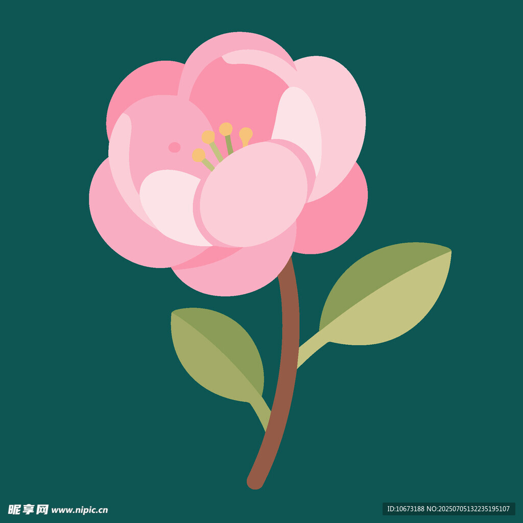 粉色山茶花插畫
