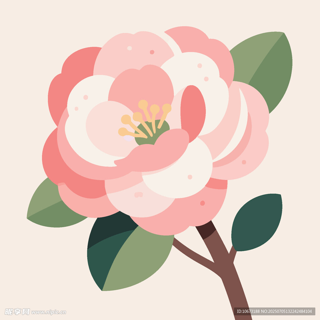 粉色山茶花插畫(huà)