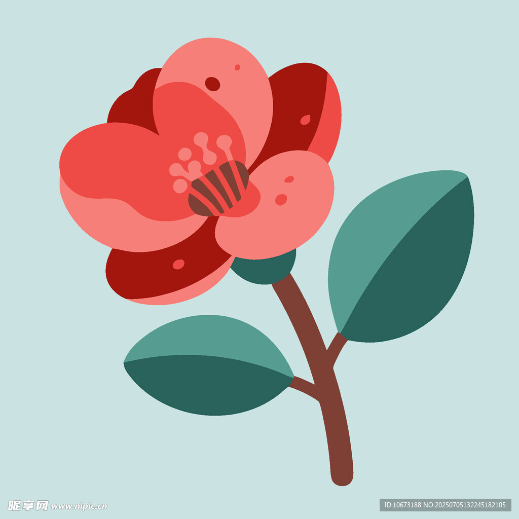紅色山茶花插畫