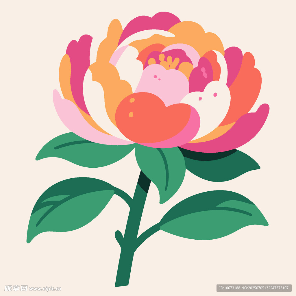 多彩手繪牡丹花