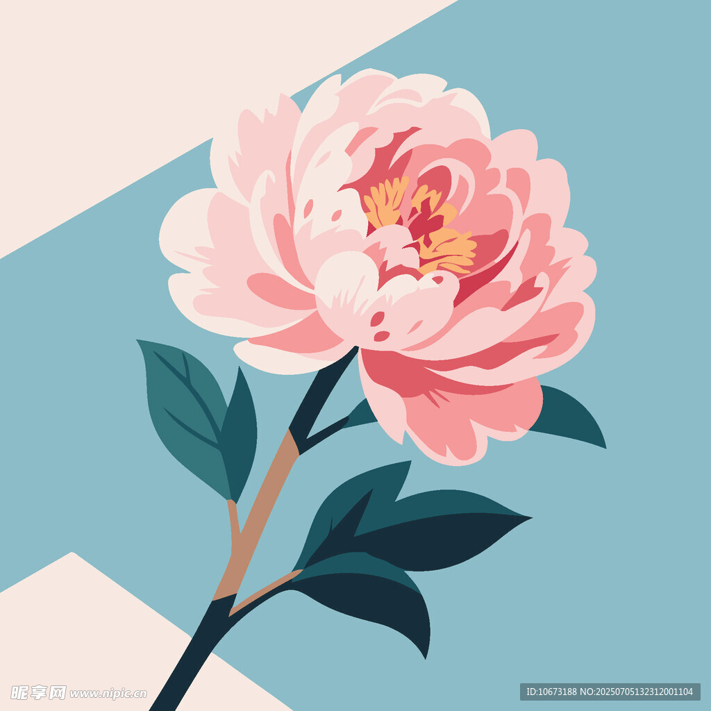 粉色嬌艷牡丹花插畫
