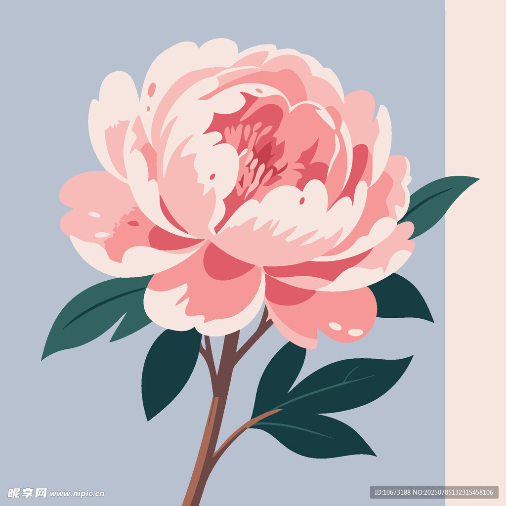 粉色嬌艷牡丹花插畫(huà)