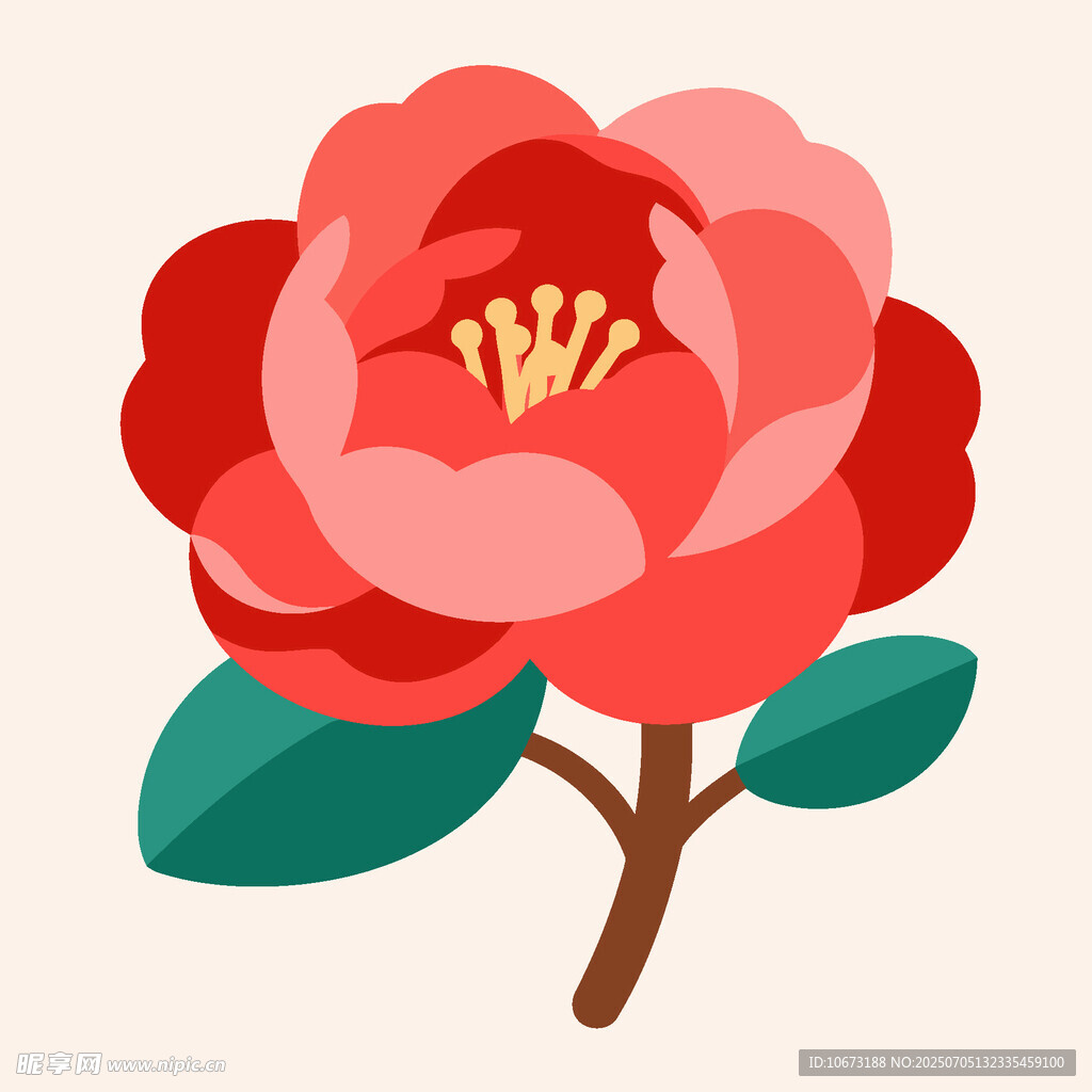 鮮艷山茶花插畫