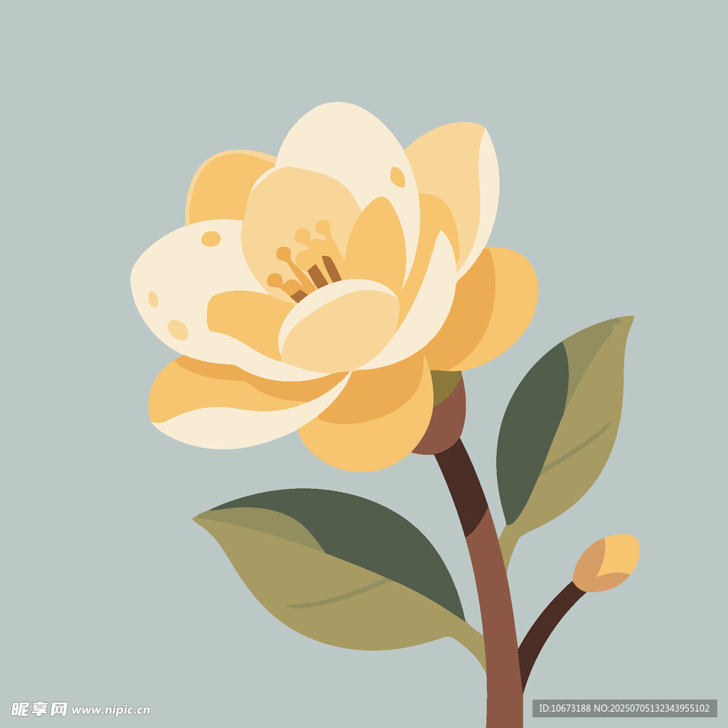 黃色山茶花插畫