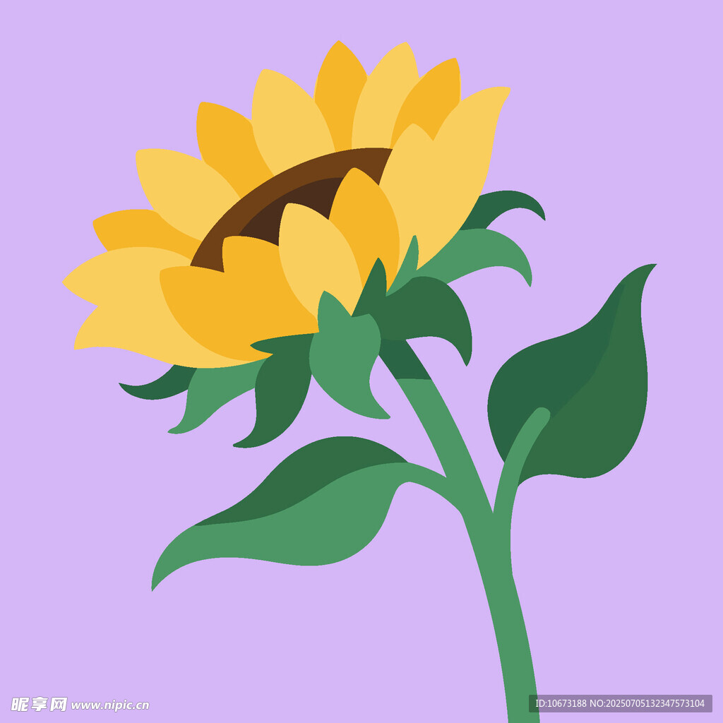 紫色背景上的向日葵插畫