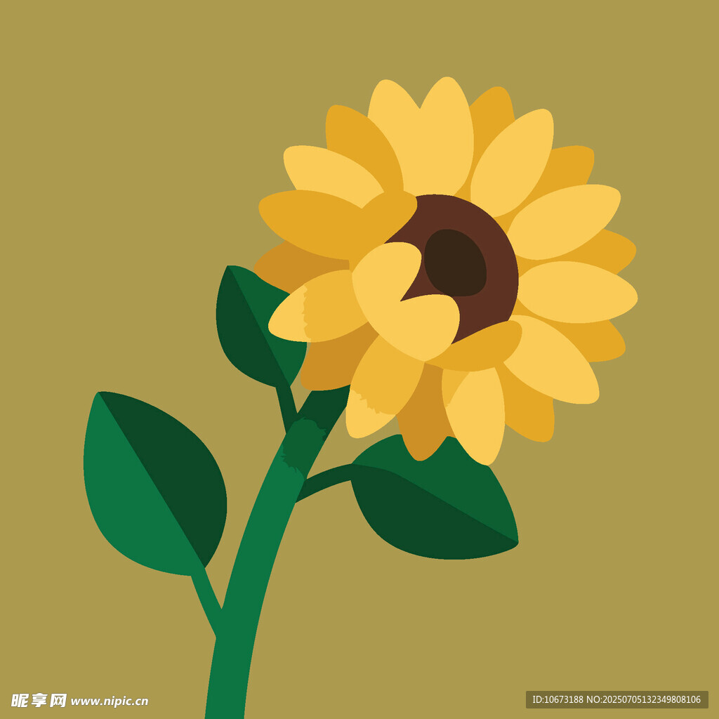 黃色向日葵插畫