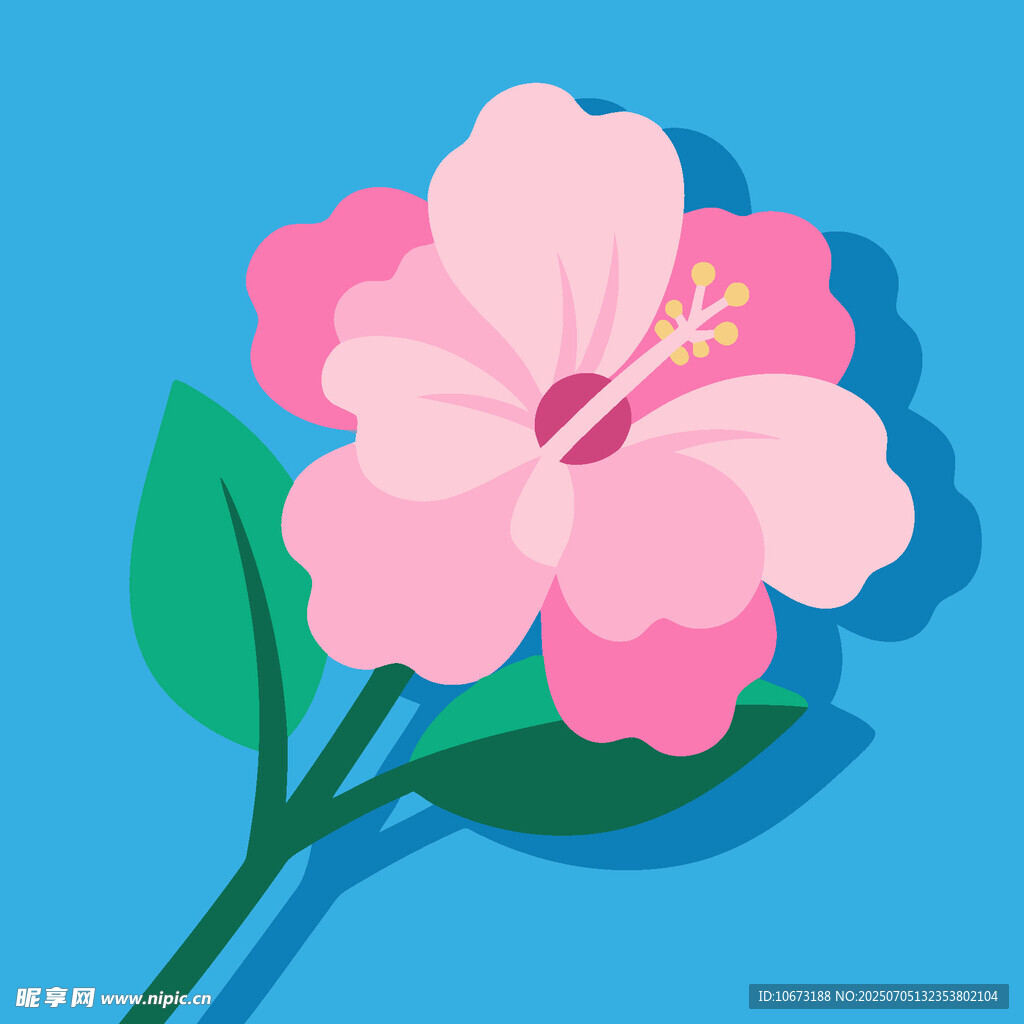 粉色木槿花插畫