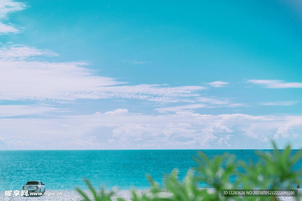 綠植與碧海藍天