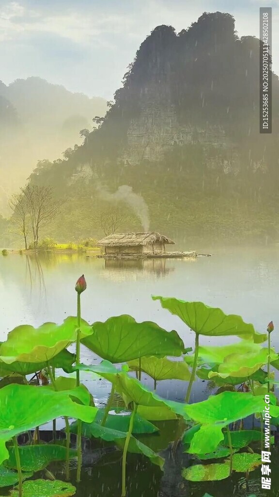 山水間的荷塘美景