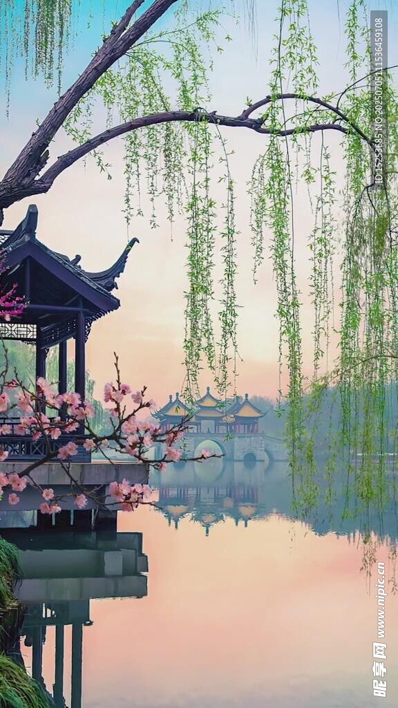 湖畔古亭垂柳映美景