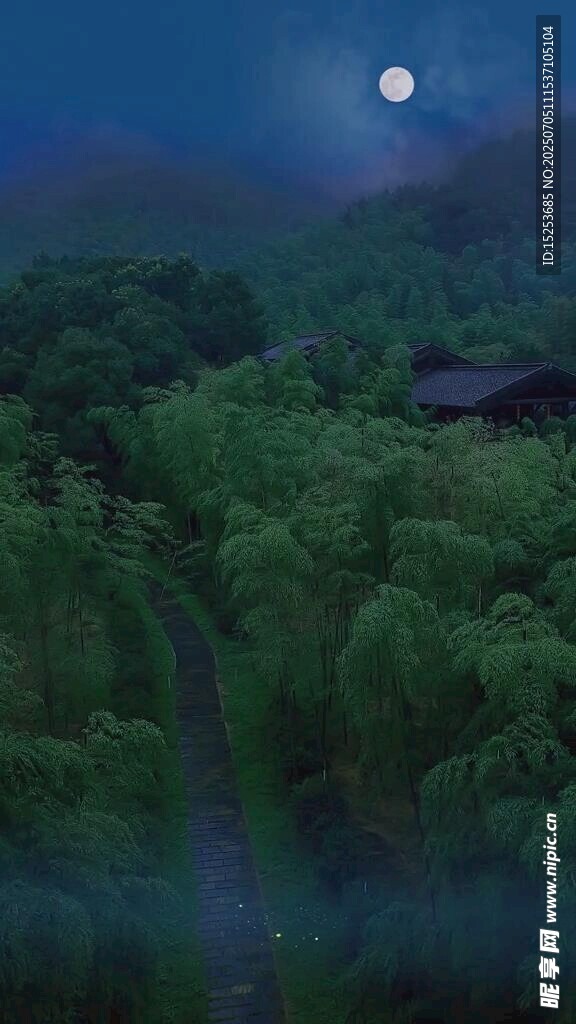 月夜下的蔥郁山林