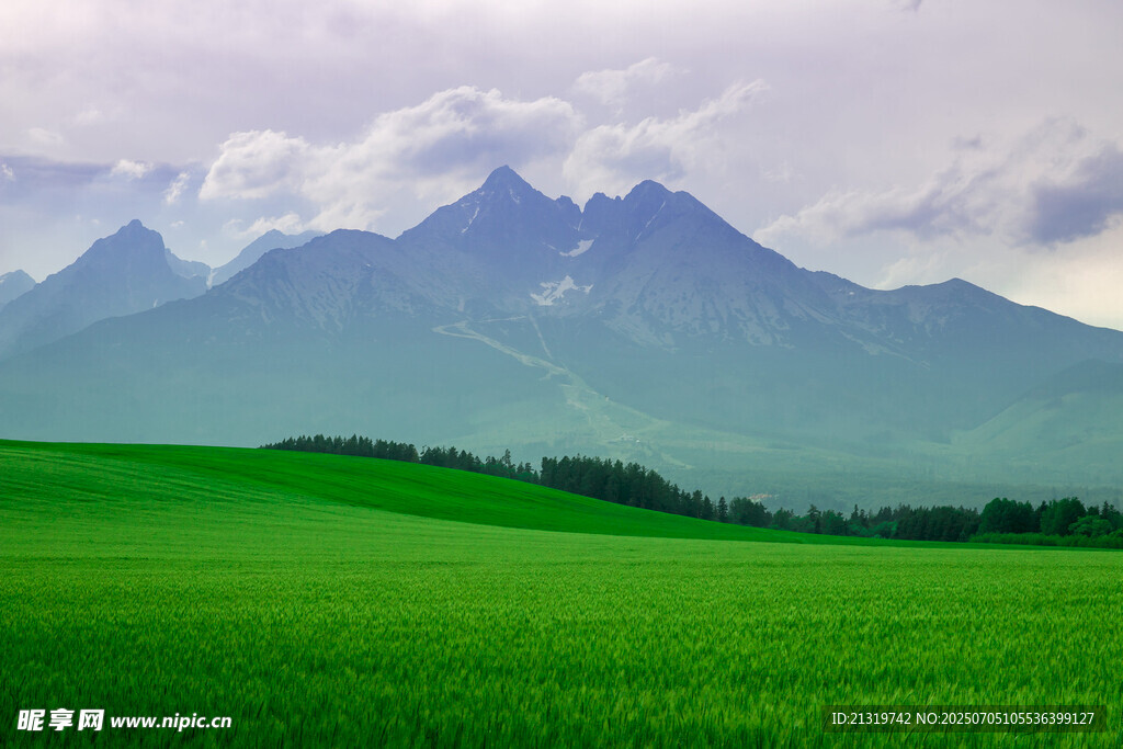 綠色原野與遠(yuǎn)處山巒美景
