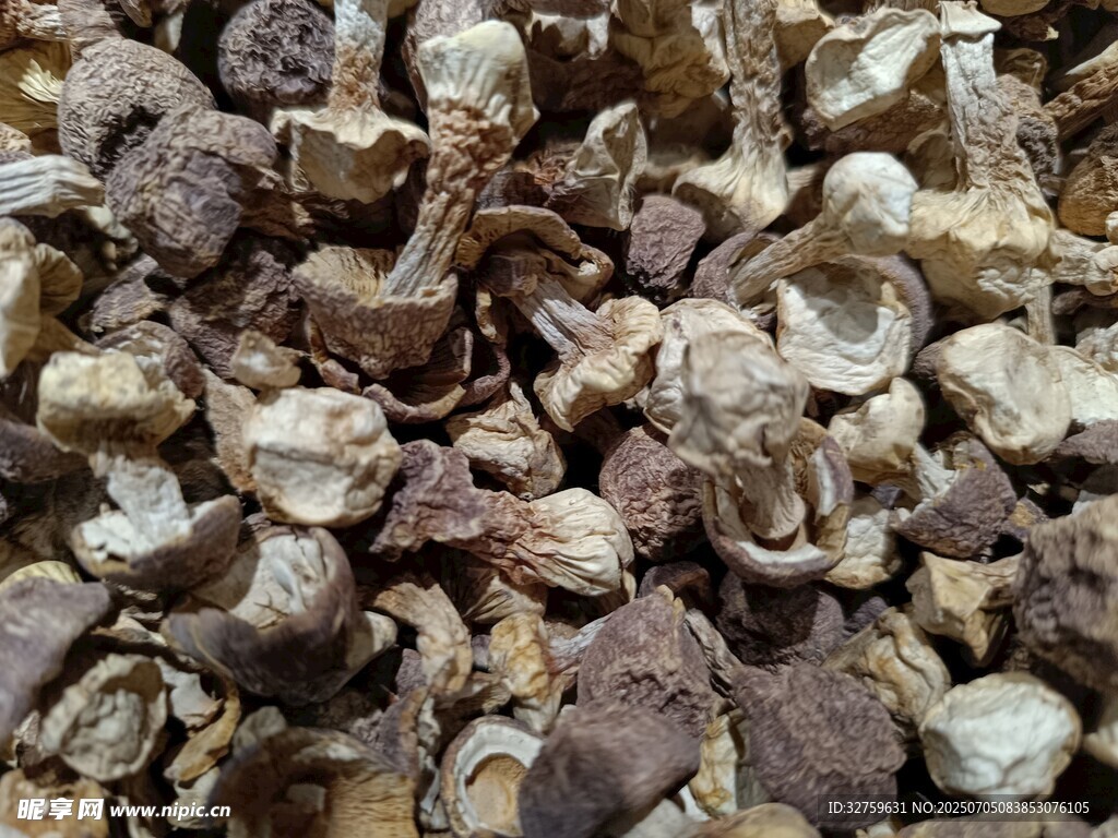 干香菇特寫