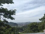 山頂?shù)娘L(fēng)景