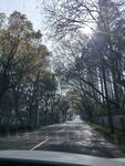 鄉(xiāng)間小路