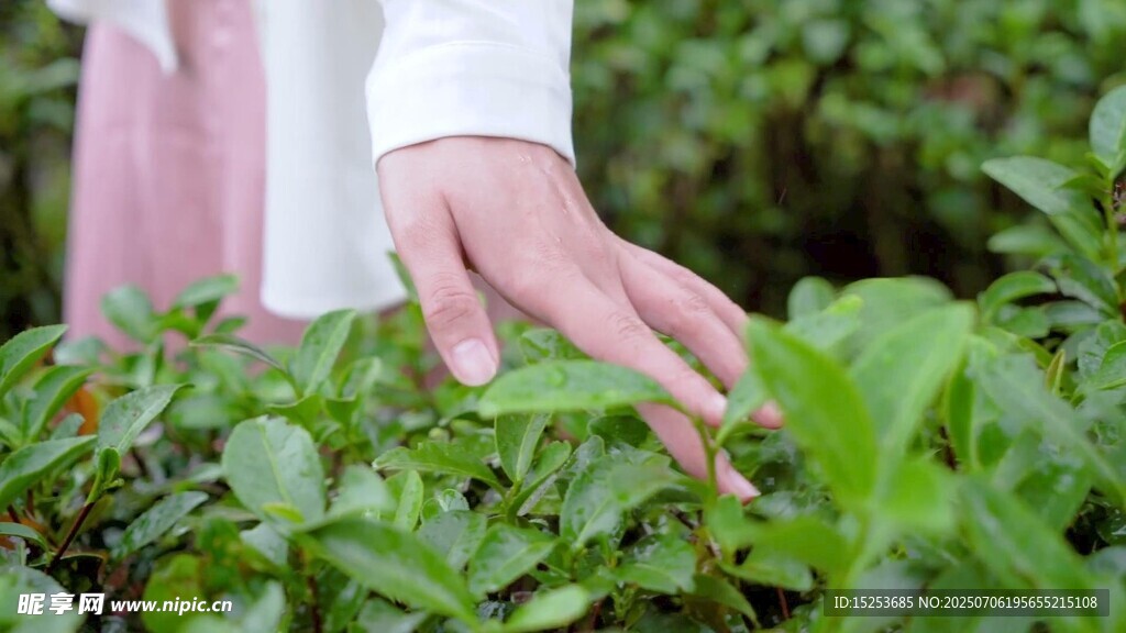 手觸綠植感受自然生機(jī)