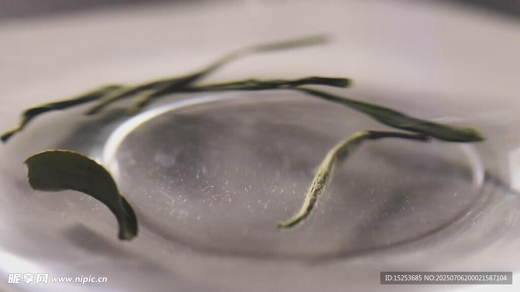 透明容器中的嫩綠植物