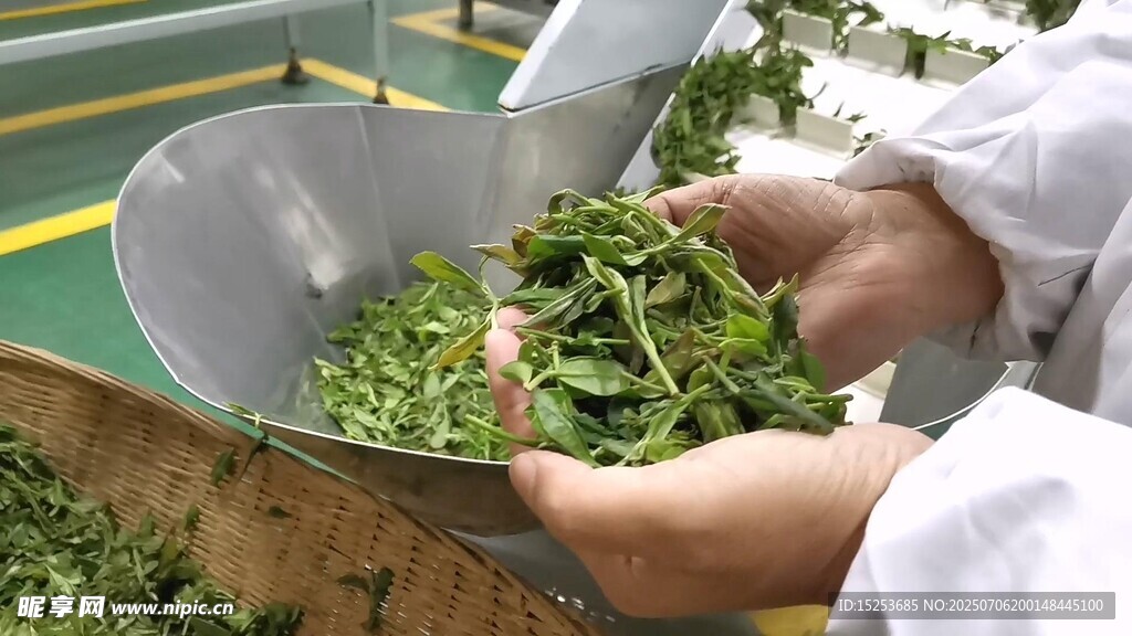 雙手捧持新鮮嫩綠蔬菜