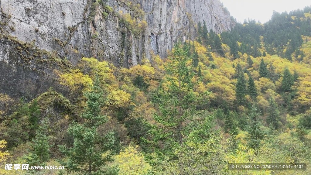 山間多彩植被景觀