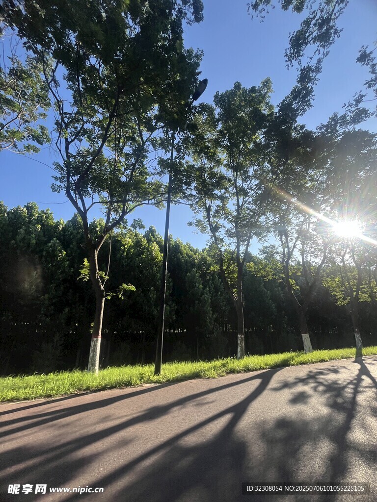 陽(yáng)光灑落林間道路