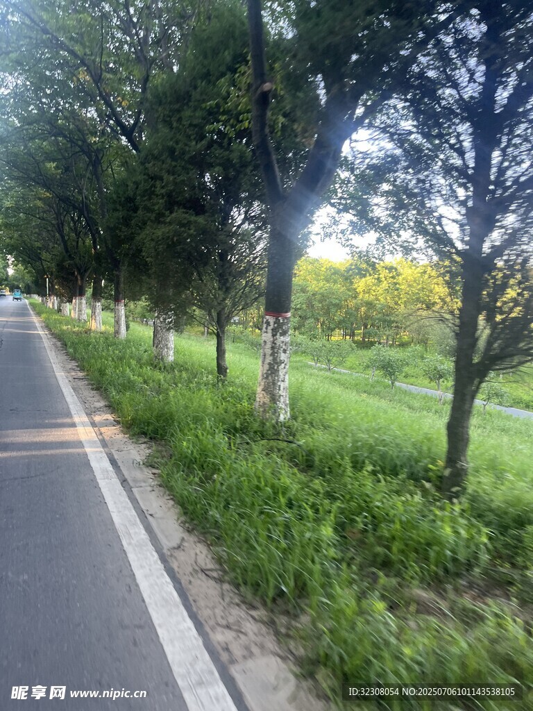 林間公路 