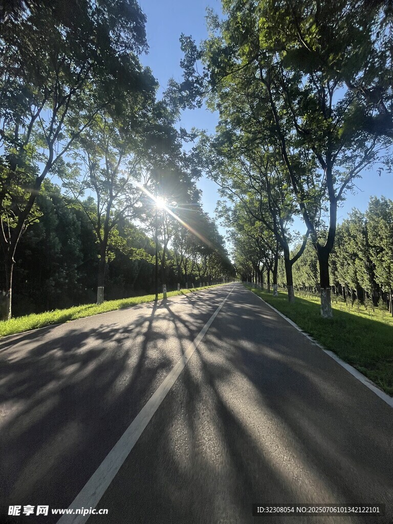 林間陽光大道