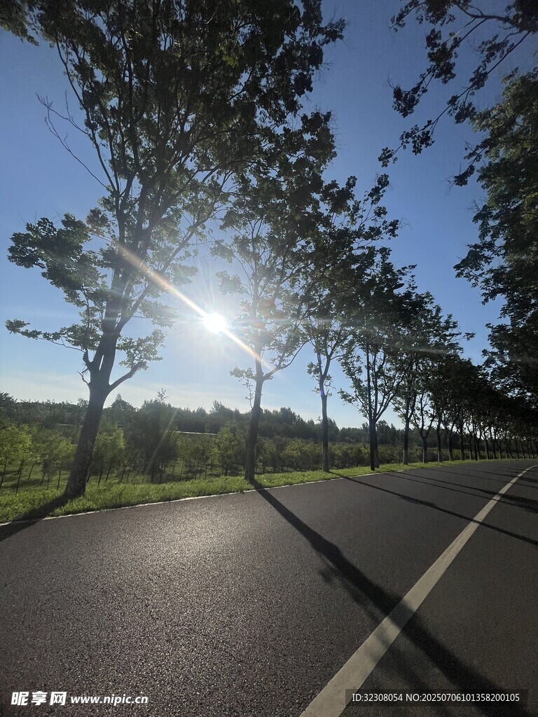 陽光照耀下的林間公路