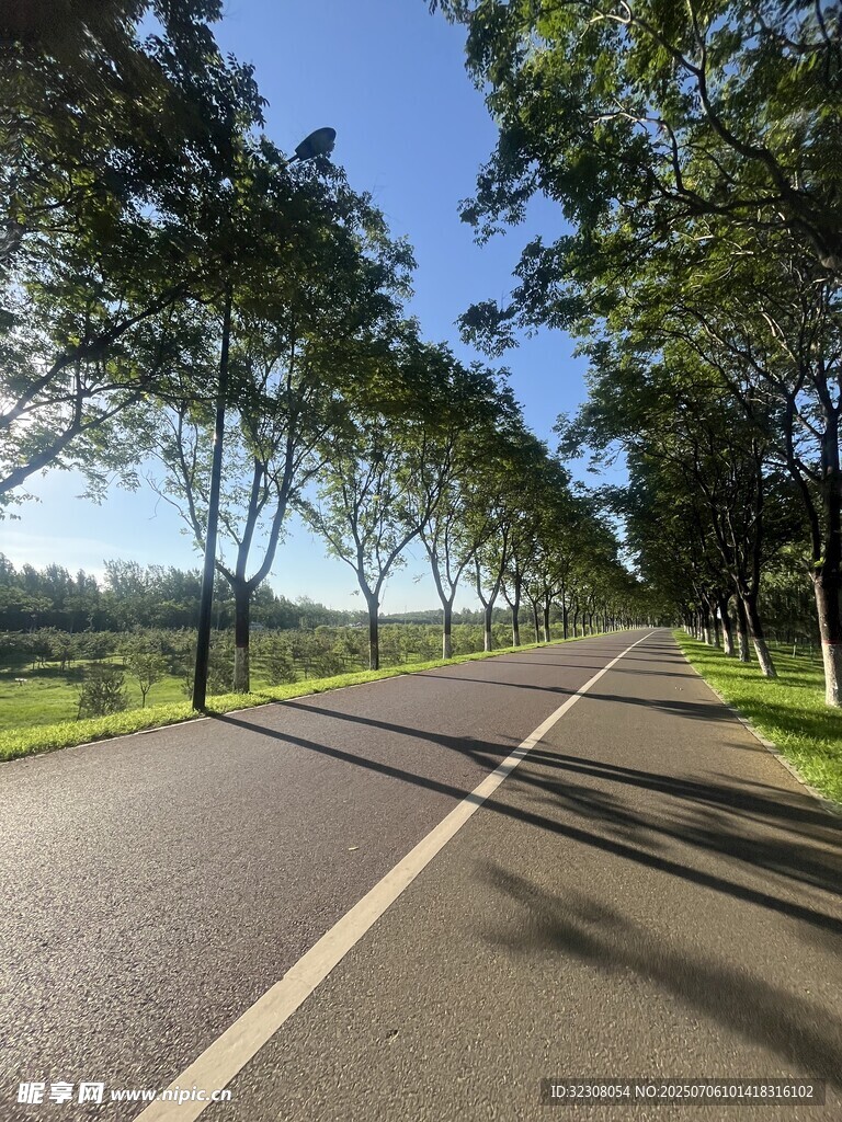林間公路 