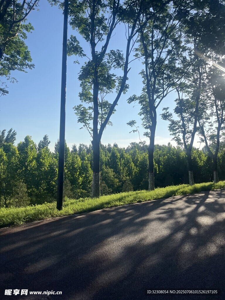 林間陽(yáng)光灑落的靜謐道路