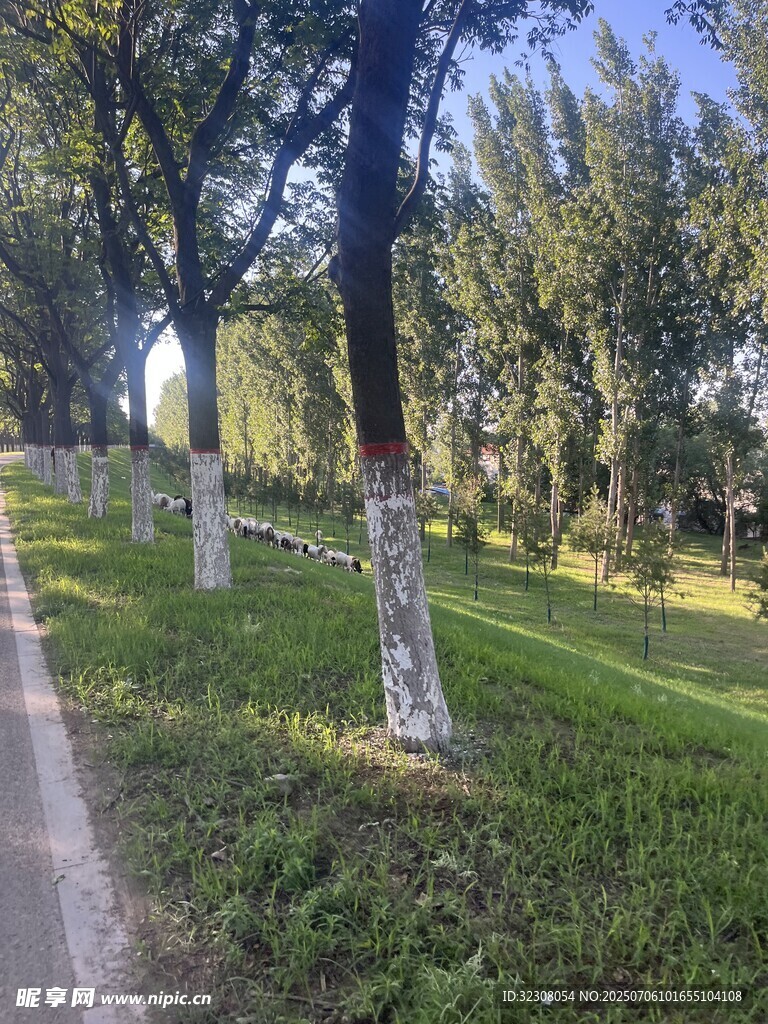 林間小徑 