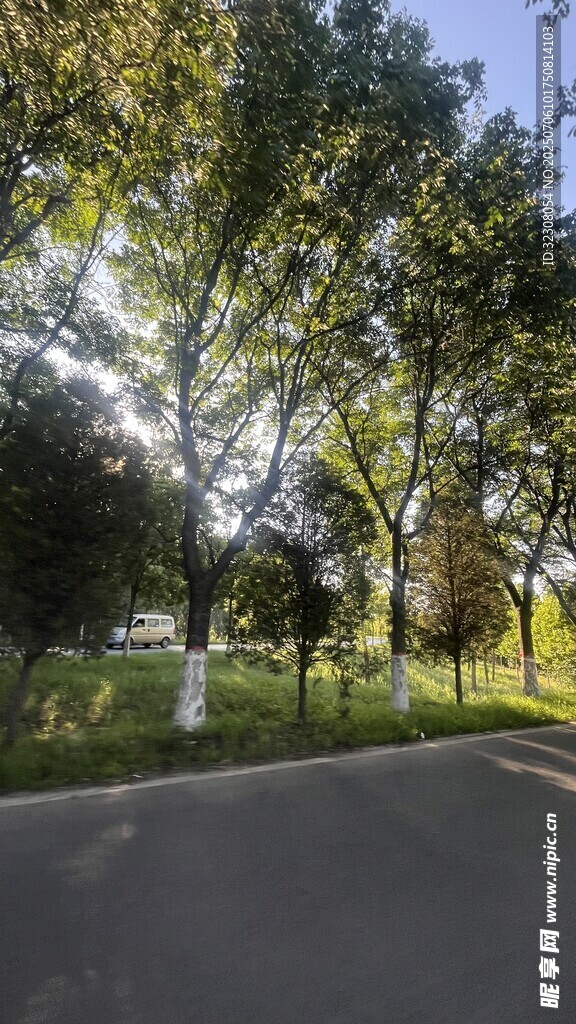 林間道路 
