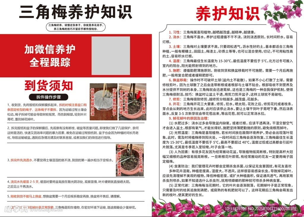 三角梅養(yǎng)護(hù)知識(shí)海報(bào)